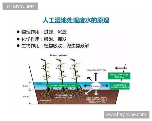 从零开始掌握羽毛球配合技巧的全面指南与实战经验分享