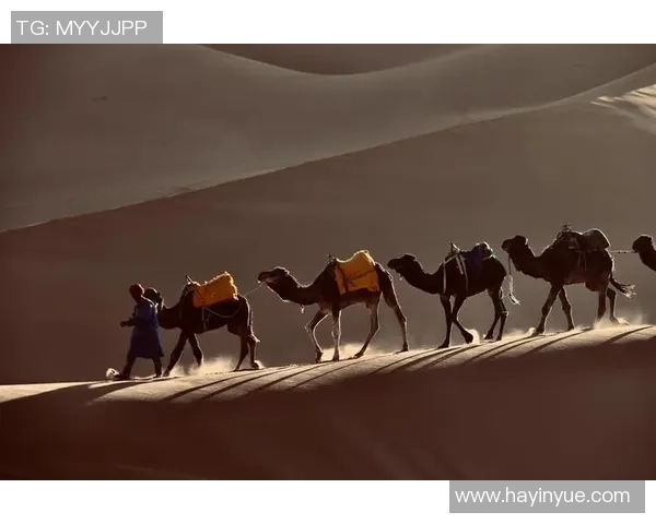 摩洛哥与斯特拉斯的精彩对决揭示足球战术与团队协作的魅力